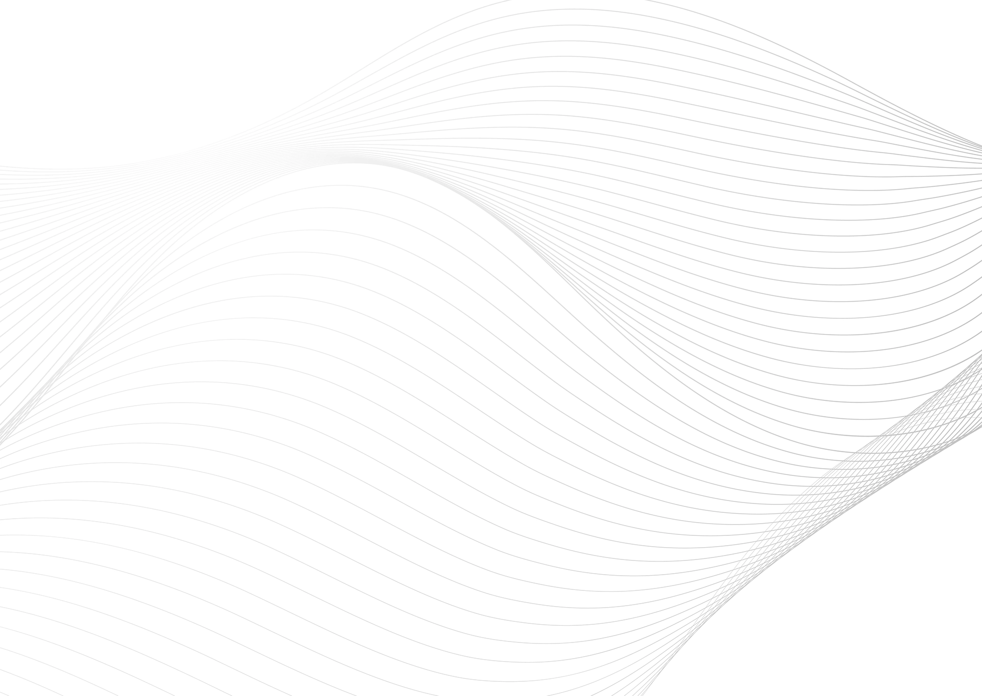 Web Site Tasarımcısı, Hayrabolu